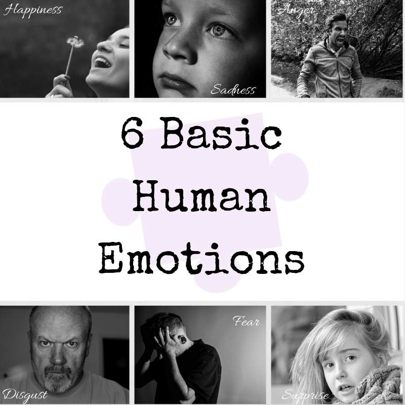 emotional stability - 6 emotions